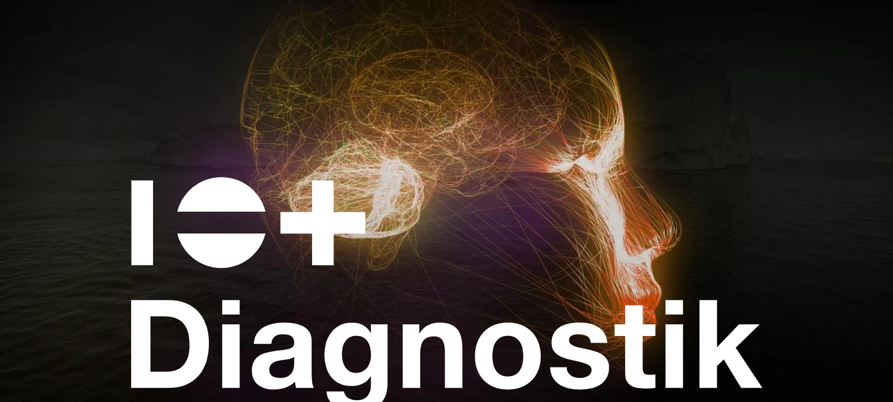Management-Diagnostik