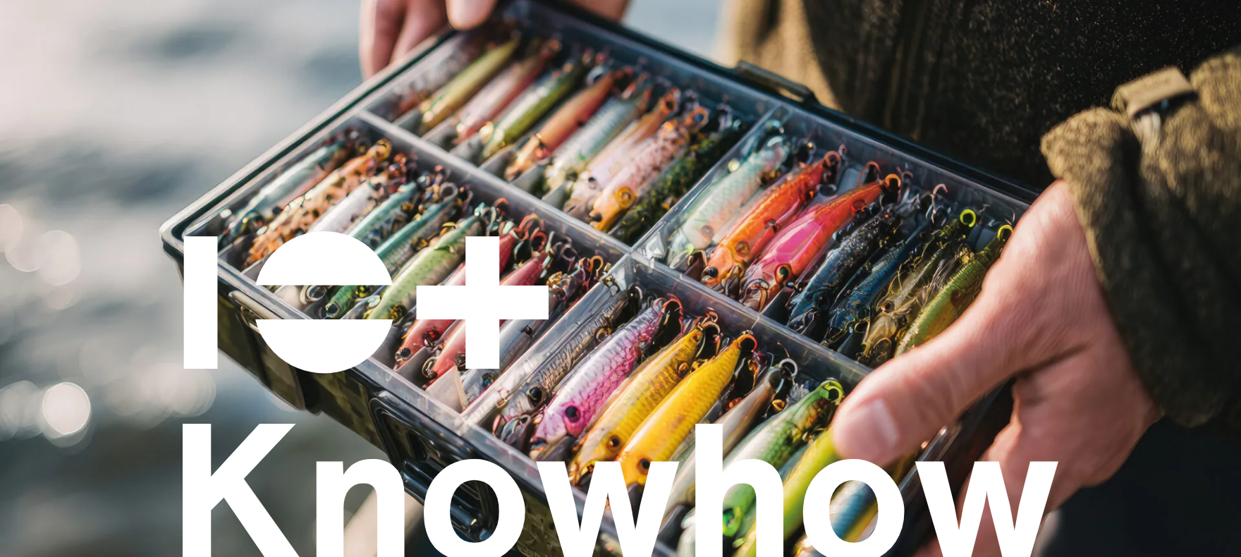 Seminare und Workshops