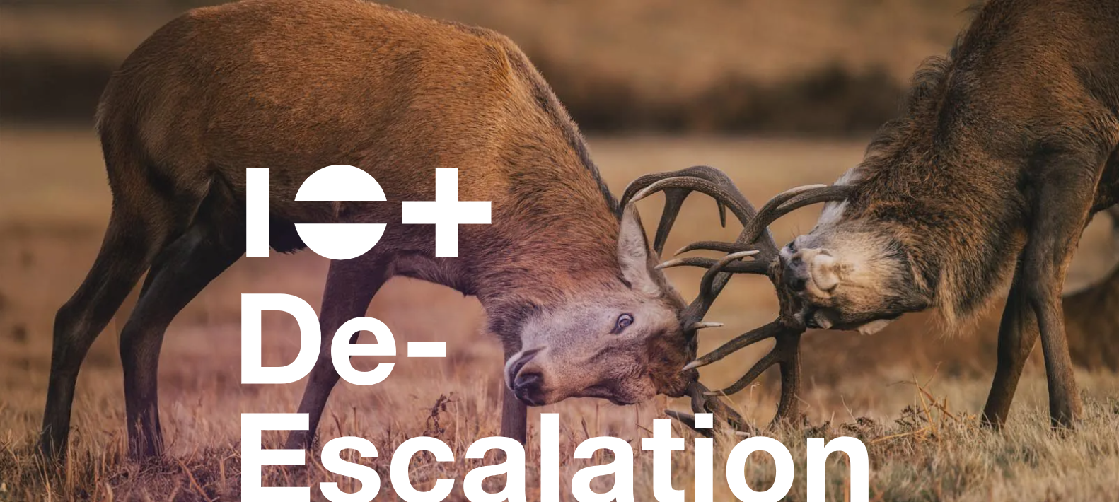 Konfliktmoderation und Deeskalation