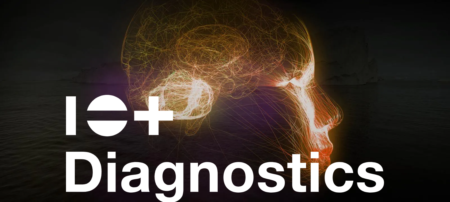 Management-Diagnostik